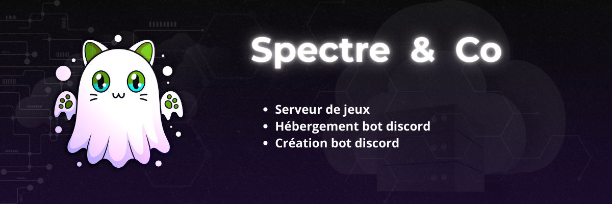 Spectre & Co – Serveur de jeux, Hébergement bot Discord, Création bot Discord